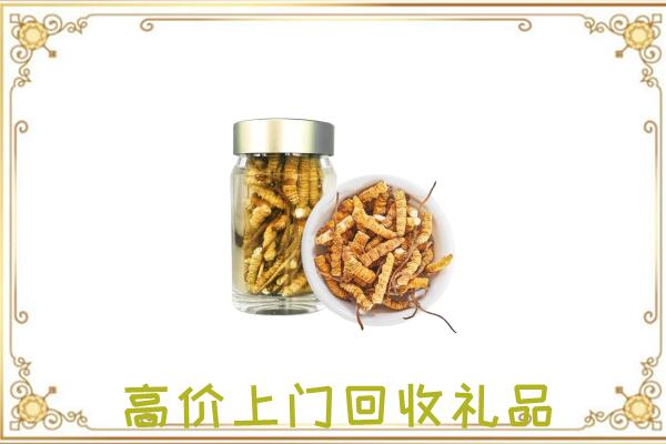 阜新周边回收虫草
